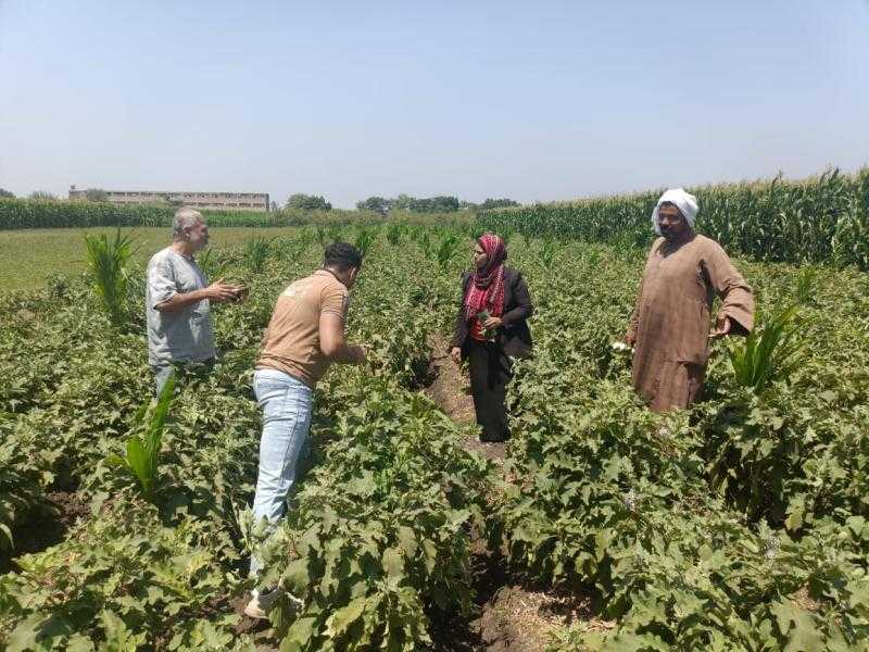 الهيئة الإنجيلية تطلق المرحلة الرابعة من مبادرة ازرع لدعم المزارعين وتشجيع زراعة القمح