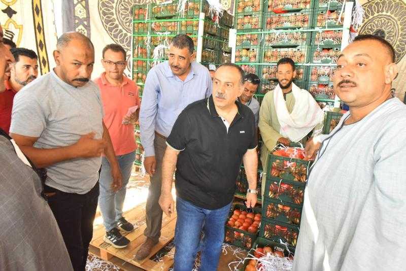 محافظ أسيوط يتابع منظومة تجهيز وتصدير الذهب الأحمر بقرية بويط بساحل سليم