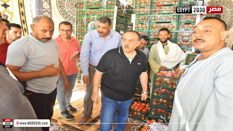 محافظ أسيوط