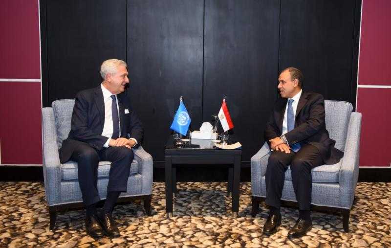 وزير الخارجية يستعرض الأعباء التي تتحملها مصر لاستضافتها ما يقرب من 10 ملايين أجنبي