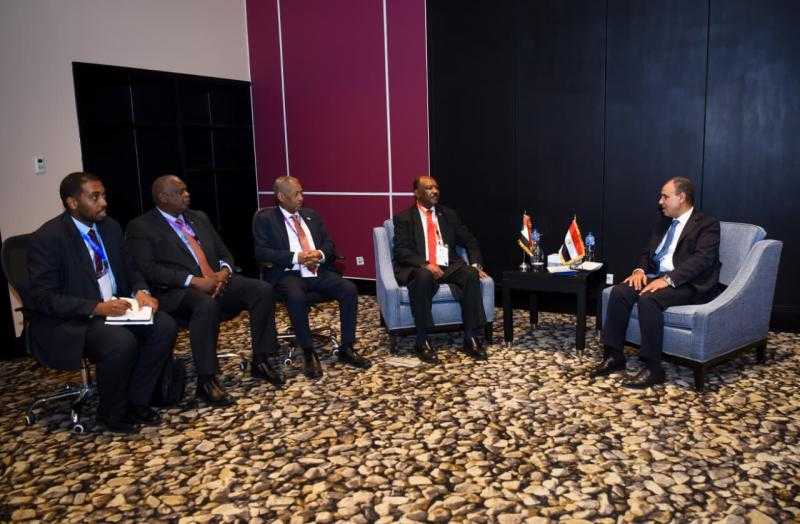 وزير الخارجية يلتقي نظيره السودانى على هامش منتدى أسوان للسلام والتنمية المستدامة