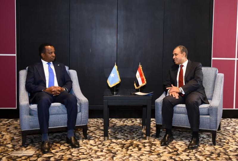وزير الخارجية يجدد التزام مصر بدعم جهود تعزيز الأمن والاستقرار في الصومال ومنطقة القرن الأفريقي