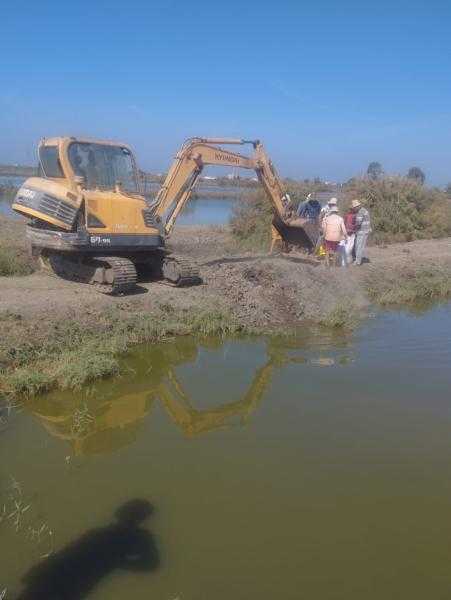 محافظ بورسعيد: إزالة مساحة 20 فدان استزراع سمكي مخالف على أرض زراعية بقرية الفتح بجنوب بورسعيد