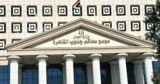 غدا.. محاكمة البلوجر أكرم سلام بتهمة استعراض القوة والتلويح بالعنف