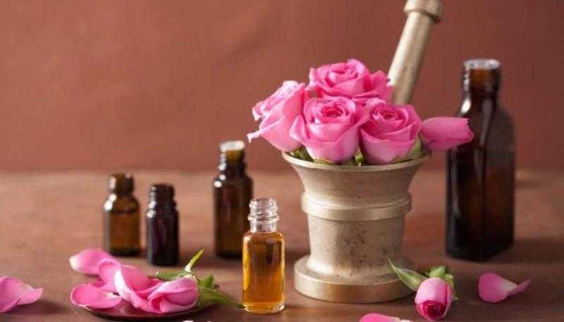 استنشاق زيت الورد يوميًا قد يعزز الذاكرة ويحمي من الخرف