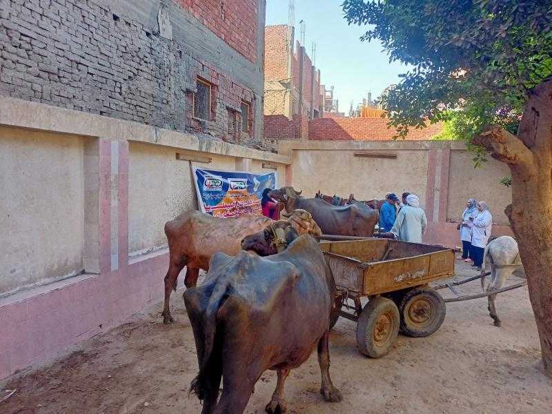 الزراعة تطلق قافلة بيطرية مجانية بالجيزة