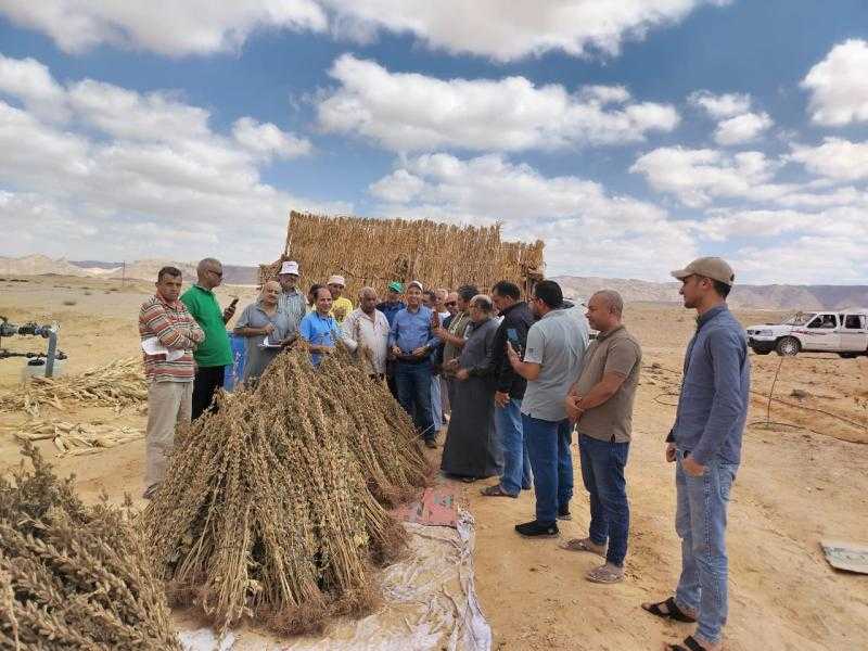 بحوث الصحراء ينظم زيارات ميدانية للتجمعات الزراعية في سيناء
