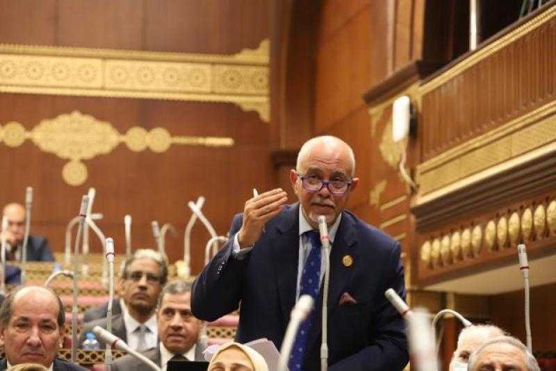 عضو عليا الوفد: مصر أصبحت جسر التواصل بين أوروبا وإفريقيا برؤية تقوم على الشراكة والتكامل