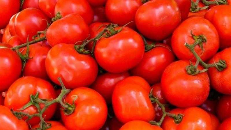 الطماطم.. كنز غذائي لصحة القلب والبشرة والعظام