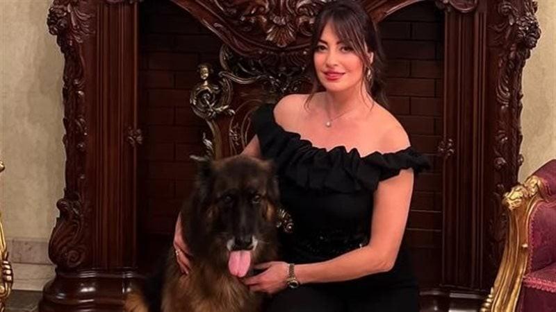 نرمين الفقي تتألق بإطلالة ساحرة في حفل حسين الجسمي