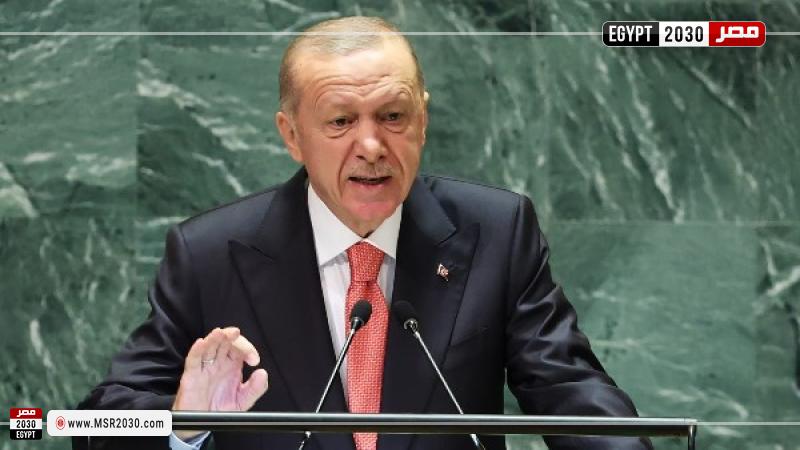 الرئيس التركي رجب طيب أردوغان