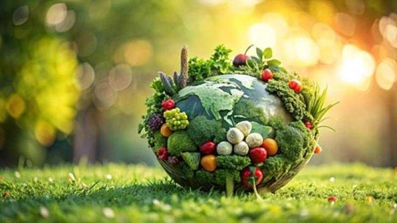 إفريقيا تحتفي باليوم (16) للأمن الغذائي ومنصة الشراكة للتنمية الزراعية