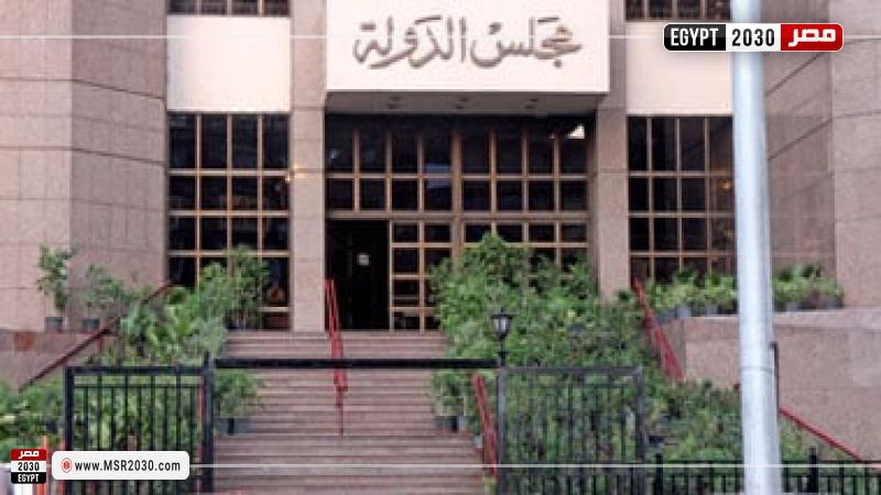 مجلس الدولة 