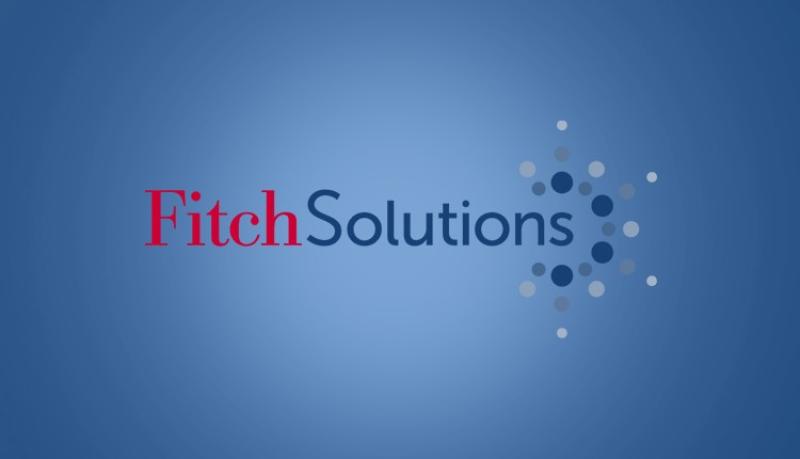 «فيتش» تكشف عن توقعاتها لأسعار الفائدة والدولار في مصر