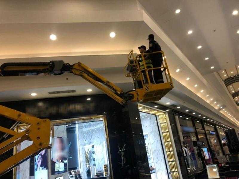 لفتة إنسانية.. الشرطة تنقذ قطة عالقة أعلى محل في الإسكندرية