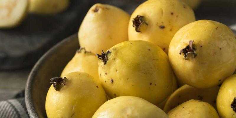 طرق تخزين الجوافة.. تفاصيل