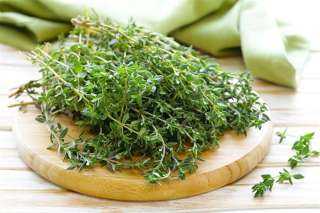 تعرف على أضرار الزعتر