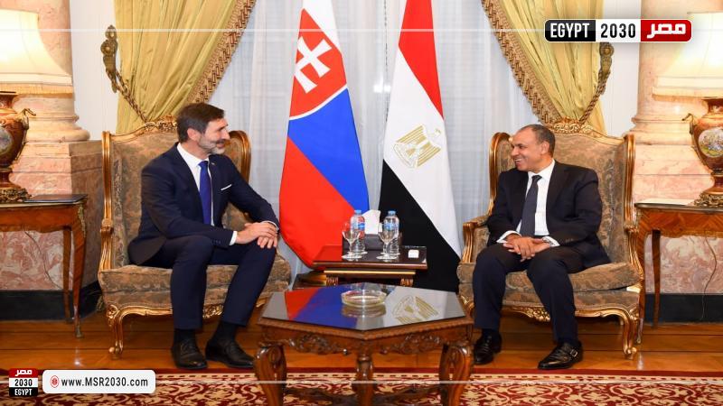 وزير الخارجية ونظيره السلوفاكي