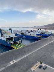 تداول أكثر من 12 ألف طن بضائع و642... تداول أكثر من 12 ألف طن بضائع و642 شاحنة بموانئ البحر الأحمر خلال يوم واحد