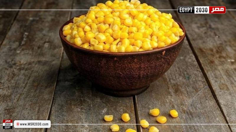 سعر طن الذرة الصفراء