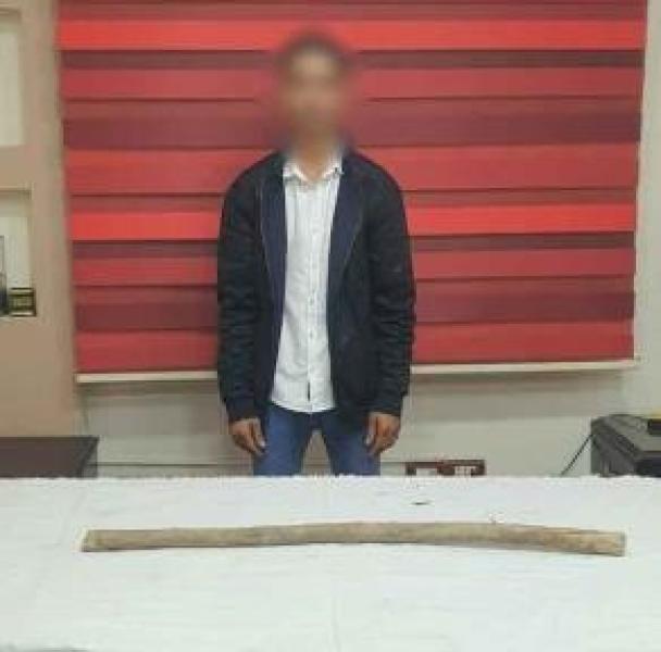 ضبط شاب اعتدى على عمته بعصا خشبية في الفيوم