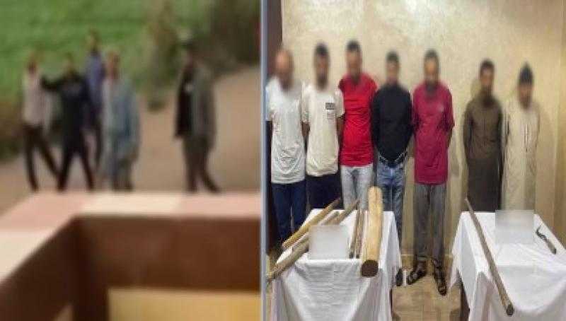 القبض على 7 أشخاص في واقعة فيديو مشاجرة بكفر الشيخ