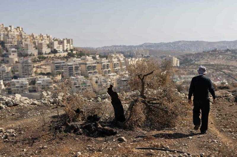 إسرائيل تصدر قرارًا باقتلاع أشجار في قريتين غرب رام الله لأغراض عسكرية