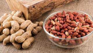 تعرف على فوائد وأضرار القول السوداني