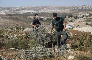 أول رد عاجل من حماس للاحتلال على مشروع... أول رد عاجل من حماس للاحتلال على مشروع استيطاني جديد في قلب الخليل