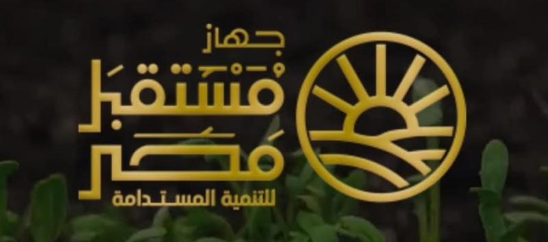 جهاز مستقبل مصر 