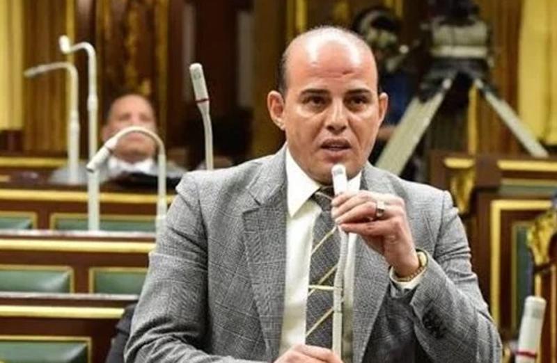 النائب عمرو القطامي