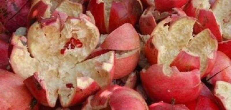 مش هترميها تاني.. فوائد مذهلة عن قشر الرمان