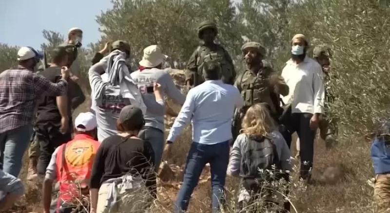 الأمم المتحدة تحذر من تصاعد اعتداءات المستوطنين بالضفة في موسم حصاد الزيتون