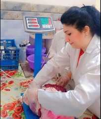 الطب البيطري بسوهاج يواصل جولاته للتأكد من صلاحية... الطب البيطري بسوهاج يواصل جولاته للتأكد من صلاحية اللحوم بالمؤسسات التعليمية