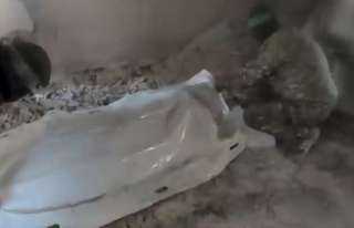 فيديو.. القسام تضلل جيش الاحتلال خلال عمليات استخراج... فيديو.. القسام تضلل جيش الاحتلال خلال عمليات استخراج جثث الأسرى