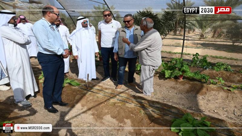 محافظ جنوب سيناء