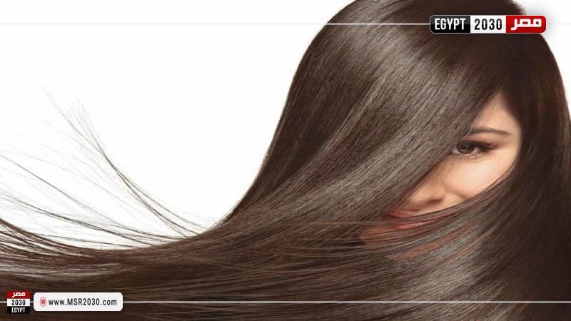 مصر 2030