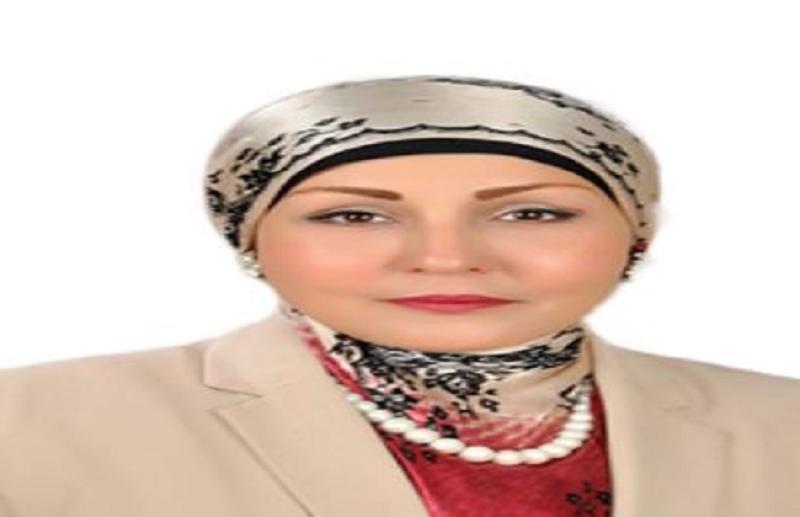 النائبة هالة أبو السعد