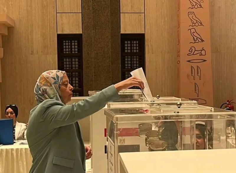 النائبة شيرين صبري للمصريين بالخارج: المشاركة في الانتخابات البرلمانية حق دستوري وواجب وطني