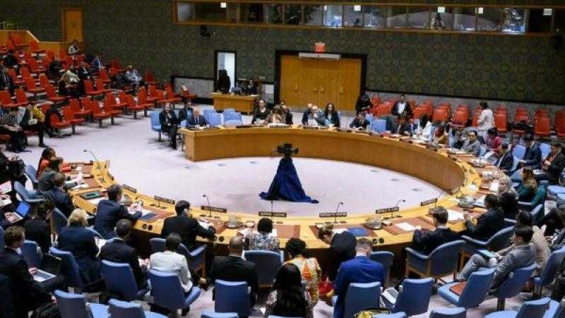 بطلب من 50 دولة.. جلسة في مجلس الأمن بشأن التطورات في الفاشر السودانية