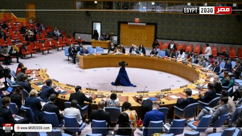 مجلس الأمن الدولي