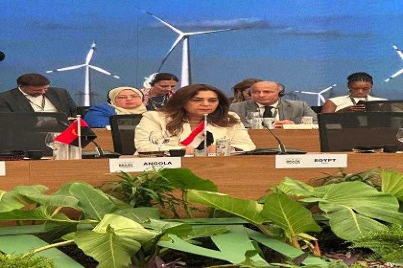 القائم بأعمال وزير البيئة تشارك في حوار المائدة المستديرة حول ”التحول في مجال الطاقة”