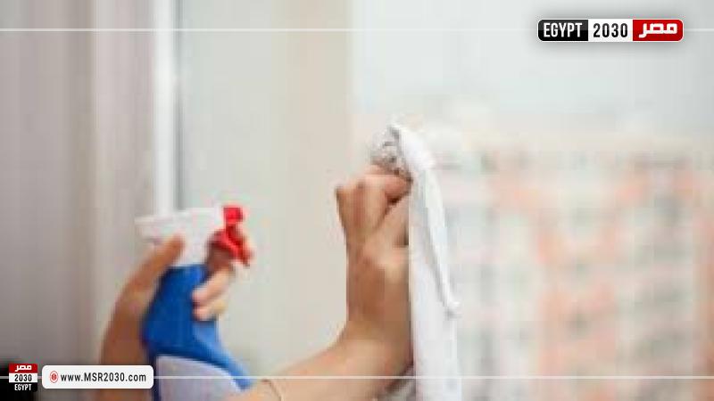 مصر 2030
