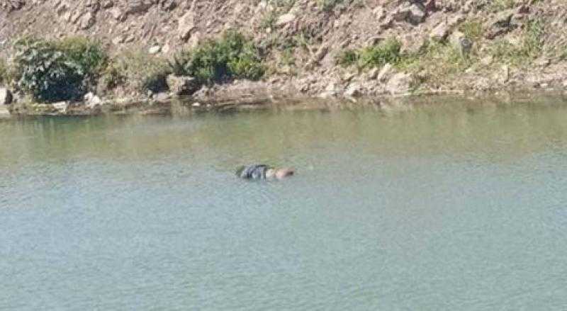 مصرع شخص غرقا بمعدية كوبري البترول فى القليوبية