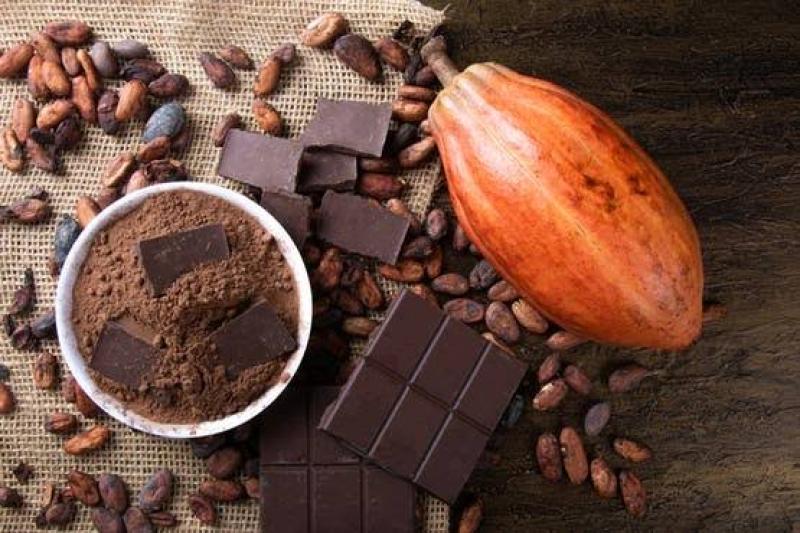 الشوكولاتة الداكنة 