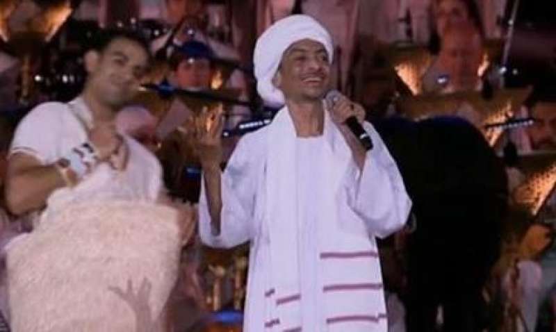 الفنان أحمد إسماعيل