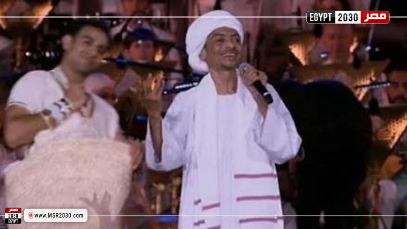 الفنان أحمد إسماعيل