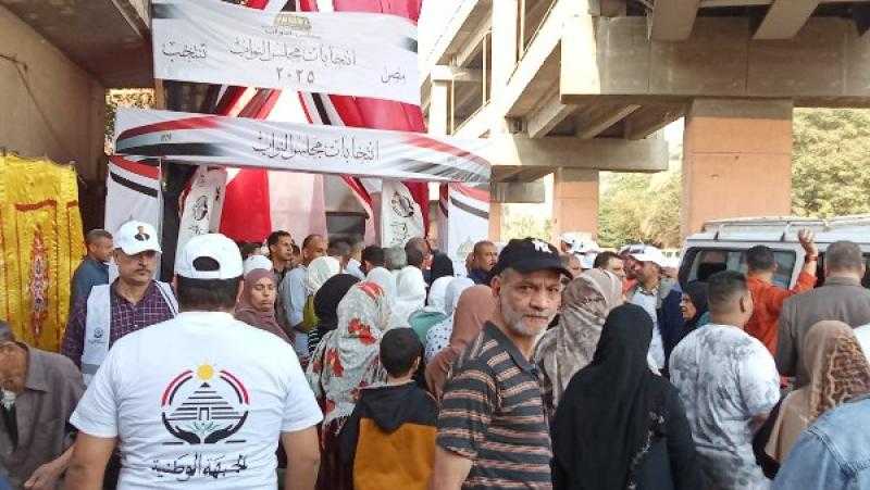 لماذا يزداد الإقبال على التصويت في انتخابات النواب بالمناطق غير الحضارية؟