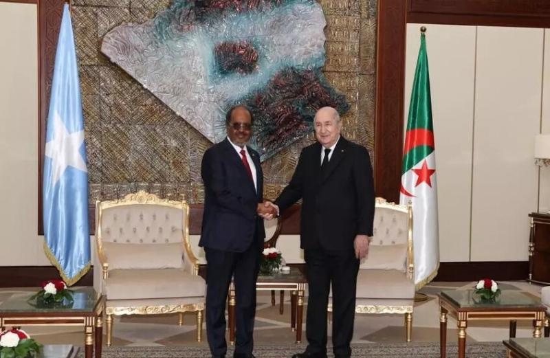 الجزائر والصومال تبرمان شراكة استراتيجية بتوقيع 6 اتفاقات