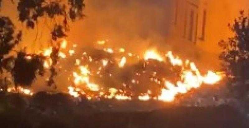 الدفع بـ10 سيارات إطفاء للسيطرة على حريق أشجار بمحيط المتحف الزراعي بالدقي